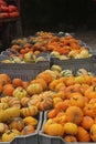 Power food with fresh pumpkins