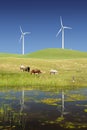 Power Generating Windmills and Livestock