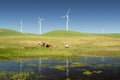 Power Generating Windmills and Livestock