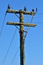 Power grid pole with wires and isolators Royalty Free Stock Photo