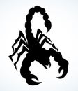 Dangerous insect. Scorpion. Vector drawing Royalty Free Stock Photo