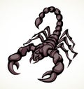 Dangerous insect. Scorpion. Vector drawing Royalty Free Stock Photo