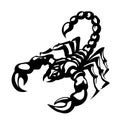 Dangerous insect. Scorpion. Vector drawing Royalty Free Stock Photo