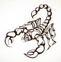 Dangerous insect. Scorpion. Vector drawing Royalty Free Stock Photo