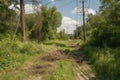 power line breakage in a densely vegetated area, with trees and plants close to the wire