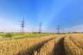 Power line bright summer day