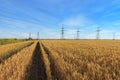 Power line bright summer day