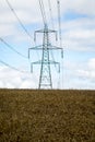 Power line in a cereal field Royalty Free Stock Photo
