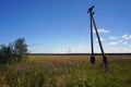 Power line through a cereal field. Perspective and horizon. Royalty Free Stock Photo