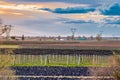 Power line in cultivated fields Royalty Free Stock Photo