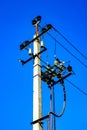 Power line, electric poles with wires, Royalty Free Stock Photo