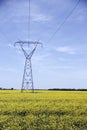 Power line in a Field of Manitoba Canola 2 Royalty Free Stock Photo