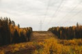Power line in the forest. Clearing for high-voltage towers Royalty Free Stock Photo