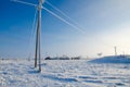 Power line in hoarfrost Royalty Free Stock Photo
