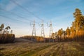 Power line in late autumn on the background of forest clearing in the rays of the setting sun. Landscape, nature, technology Royalty Free Stock Photo