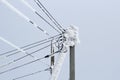 Power line on a pole of many wires covered with a thick layer of snow