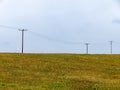 Power line poles. Field grasses and flowers, landscape Royalty Free Stock Photo