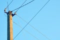 Power line post with electric cables against a clear sky. Power lines Royalty Free Stock Photo