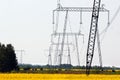 Power line pylons in yellow fields Royalty Free Stock Photo