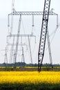 Power line pylons in yellow fields Royalty Free Stock Photo