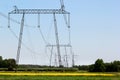 Power line pylons in yellow fields Royalty Free Stock Photo