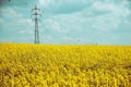 Power line in field. Electricity pylons and spring blue sky in background. Royalty Free Stock Photo