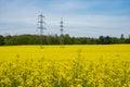 Power line rapeseed field Beautiful flowering canola, electricity pylons and cloudy sky Industry agriculture environment Royalty Free Stock Photo