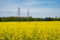 Power line rapeseed field Beautiful flowering canola, electricity pylons and cloudy sky Industry agriculture environment Royalty Free Stock Photo