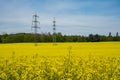 Power line rapeseed field Beautiful flowering canola, electricity pylons and cloudy sky Industry agriculture environment Royalty Free Stock Photo