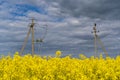 Power line in rapeseed field Royalty Free Stock Photo