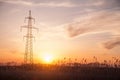 Power line at the sunset. High voltage towers Royalty Free Stock Photo