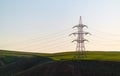 Power line support in green field Royalty Free Stock Photo