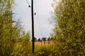 Power line support. Rustic wooden Telegraph pole full length against a blue sky with clouds. Electric pole with wires in Royalty Free Stock Photo