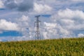 Power line tower, corn field, minnesota Royalty Free Stock Photo