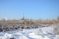 The power line tower is located in a marshy area, covered with snow. Large field of yellow bulrushes