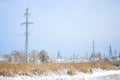 The power line tower is located in a marshy area, covered with snow. Large field of yellow bulrushes