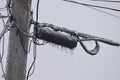 Power line transformer covered in ice, closeup Royalty Free Stock Photo