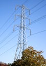 Power lines above the trees