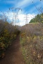 Power lines along the Hamilton Mountain Trail in Beacon Rock State Park, Washington, USA Royalty Free Stock Photo