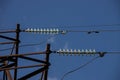 Power lines on background of blue sky close-up. Electric hub on pole. Electricity equipment with copy space. Wires of Royalty Free Stock Photo