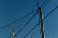 Power lines, electric poles with black straight wires on blue sky backdrop Royalty Free Stock Photo