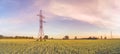 Power lines in the field at sunset time Royalty Free Stock Photo