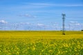 Power lines, a flowering rapeseed field and wind turbines Royalty Free Stock Photo