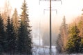 Power lines in the foggy winter forest on the hillside