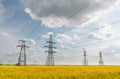 Power lines and high-voltage lines against the backdrop of blooming oilseed rape on a summer day Royalty Free Stock Photo