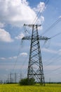 Power lines and high-voltage lines against the backdrop of blooming oilseed rape on a summer day Royalty Free Stock Photo