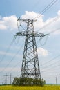 Power lines and high-voltage lines against the backdrop of blooming oilseed rape on a summer day Royalty Free Stock Photo