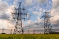 Power lines and high-voltage lines against the backdrop of blooming oilseed rape on a summer day Royalty Free Stock Photo