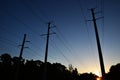 Power Lines, high voltage. Transmission towers. Florida. Royalty Free Stock Photo