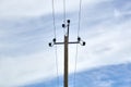 Power lines, poles and poles among the blue sky and clouds. Wires through which electricity passes Royalty Free Stock Photo